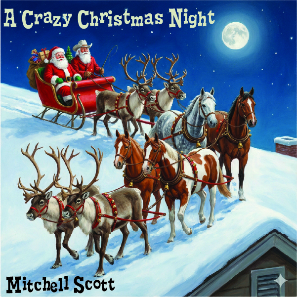 Cover art for A Crazy Christmas Night
